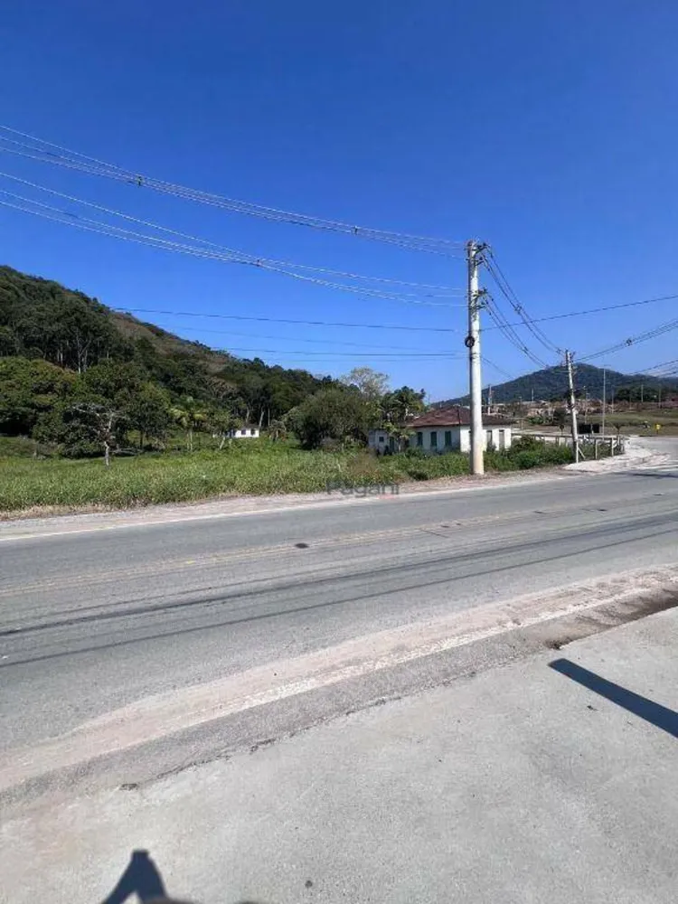 Terreno, 3 hectares - Foto 4