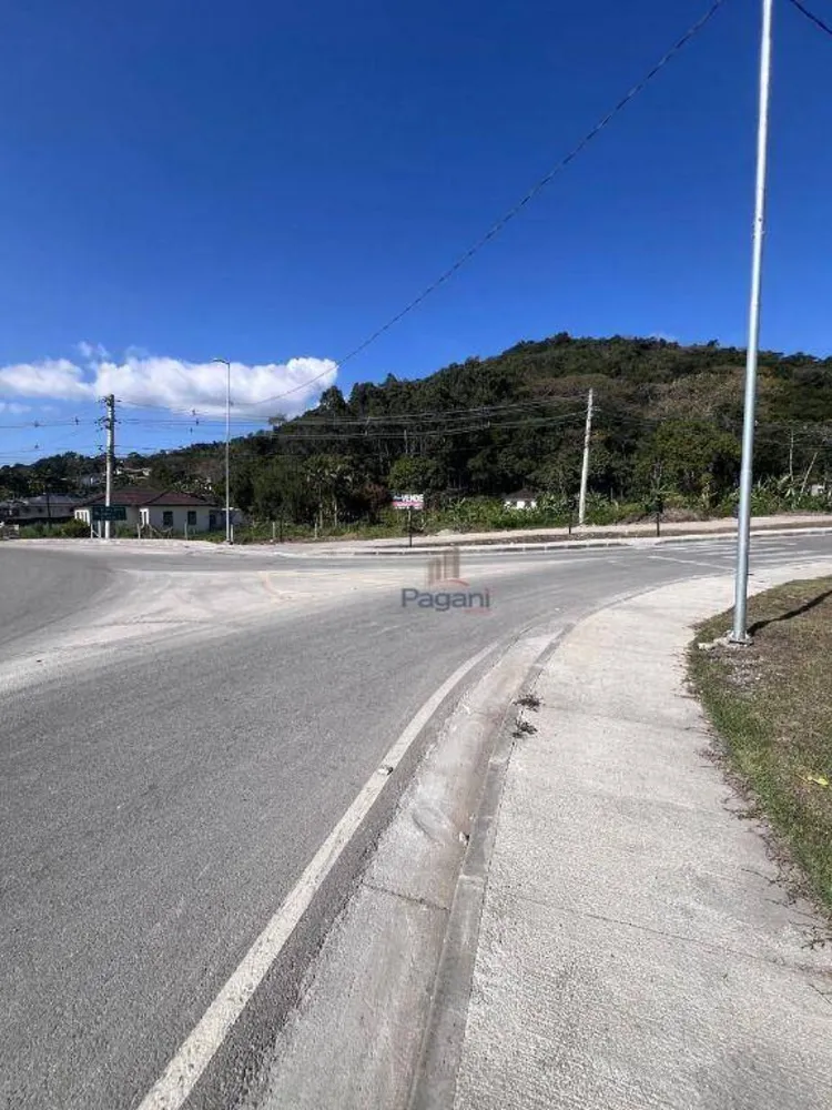 Terreno, 3 hectares - Foto 10