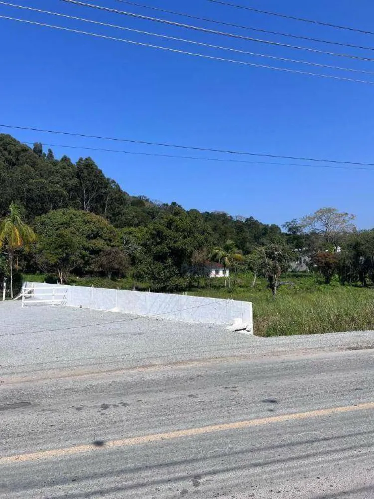 Terreno, 3 hectares - Foto 6