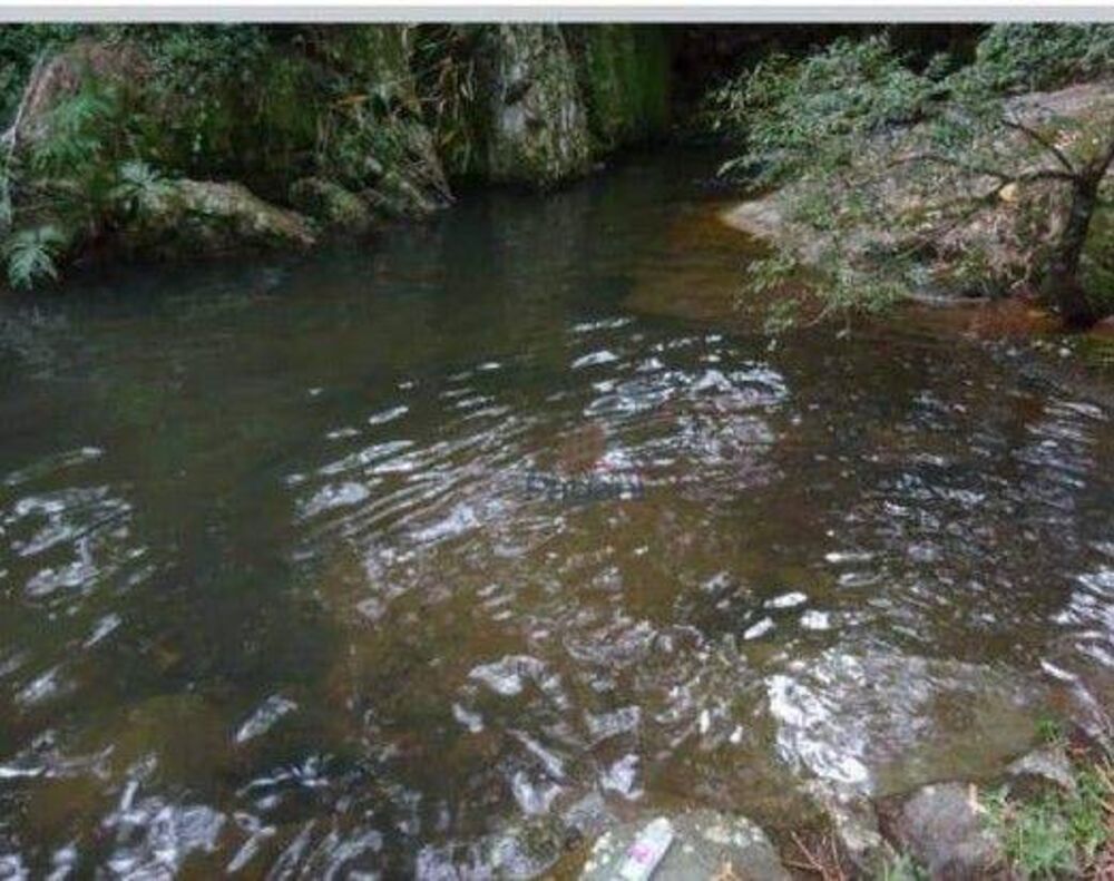 Terreno, 1 hectares - Foto 4