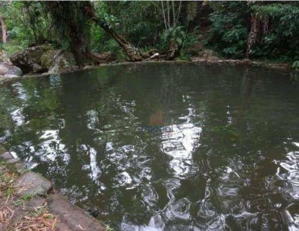 Terreno, 1 hectares - Foto 2