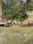 Terreno, 3 m² - Foto 12