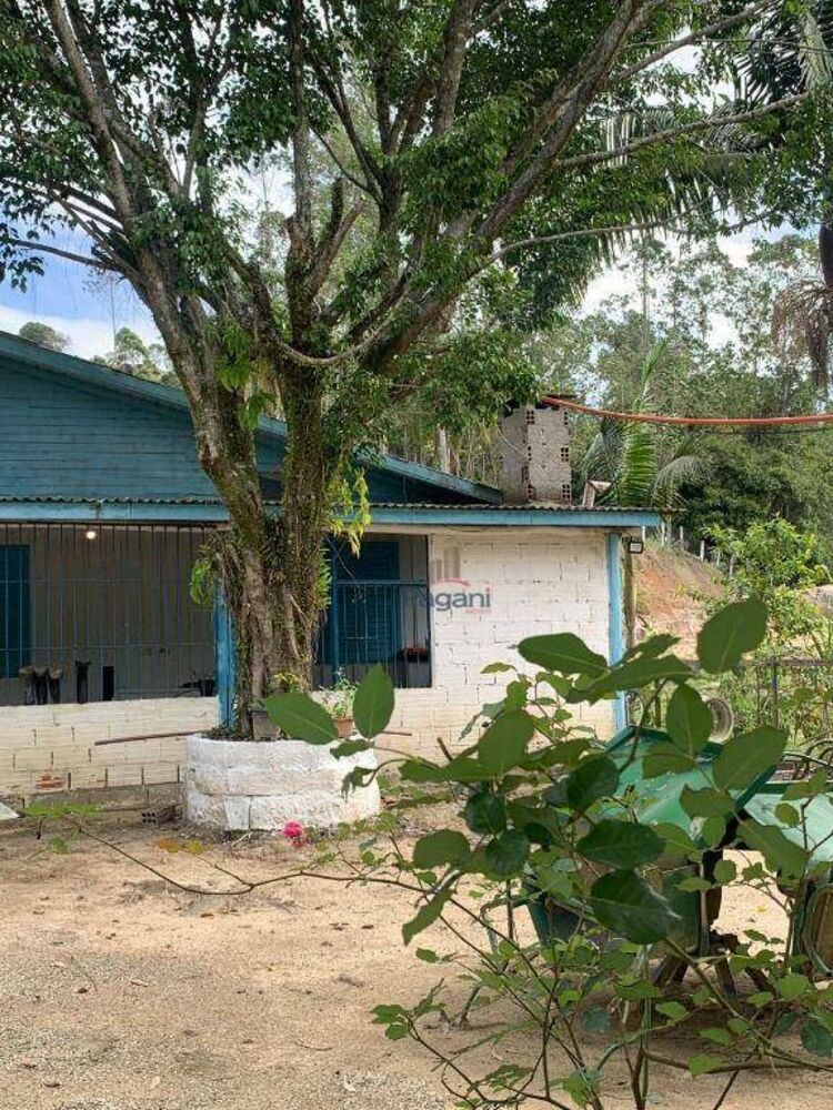 Sítio à venda com 3 quartos, 68m² - Foto 4