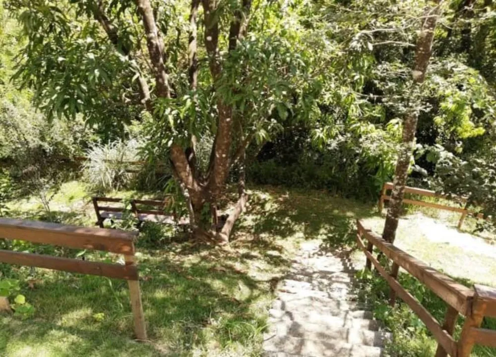 Apartamento, 2 quartos, 45 m² - Foto 5