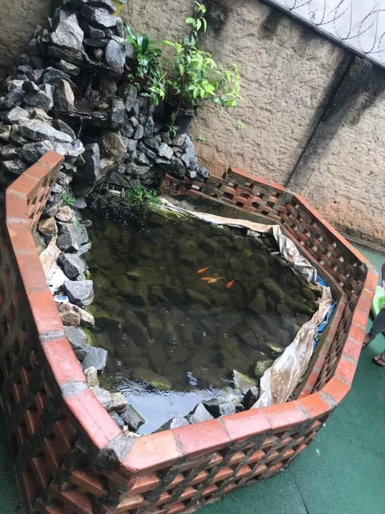 Apartamento, 2 quartos, 45 m² - Foto 3