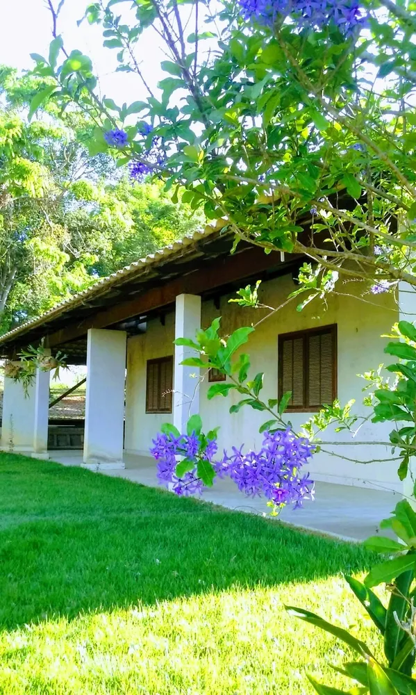 Sítio, 3 quartos, 2000 m² - Foto 7