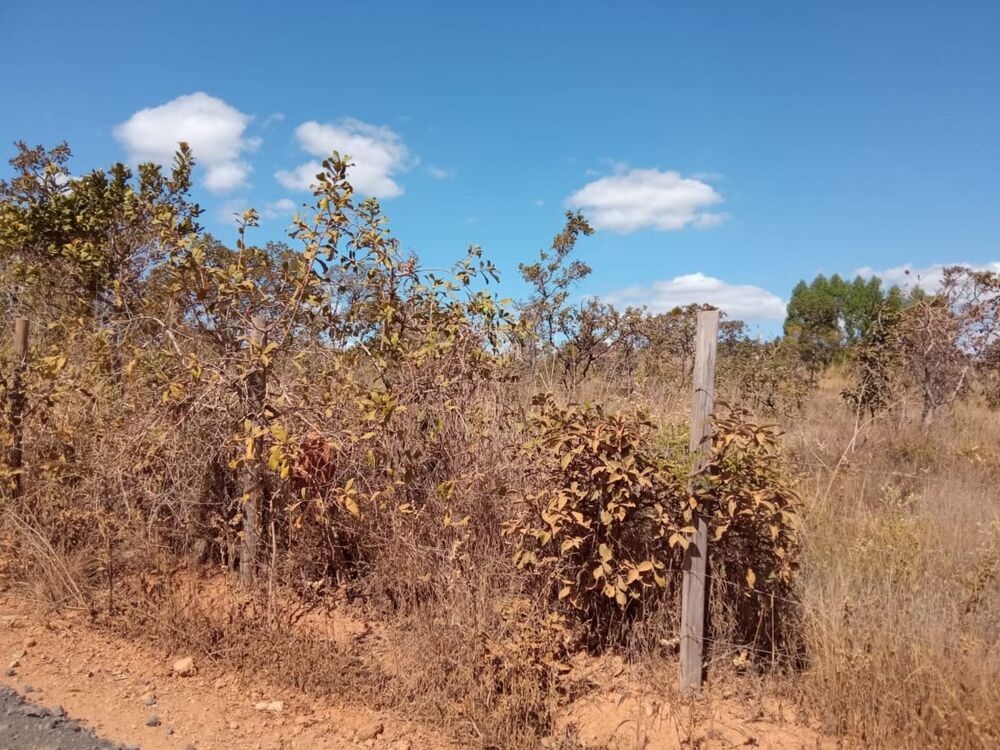 Terreno, 1000 m² - Foto 5