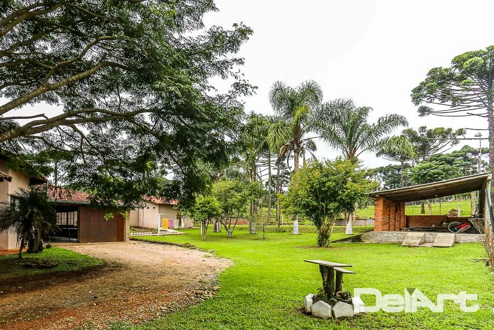 Casa, 3 quartos, 460 m² - Foto 3