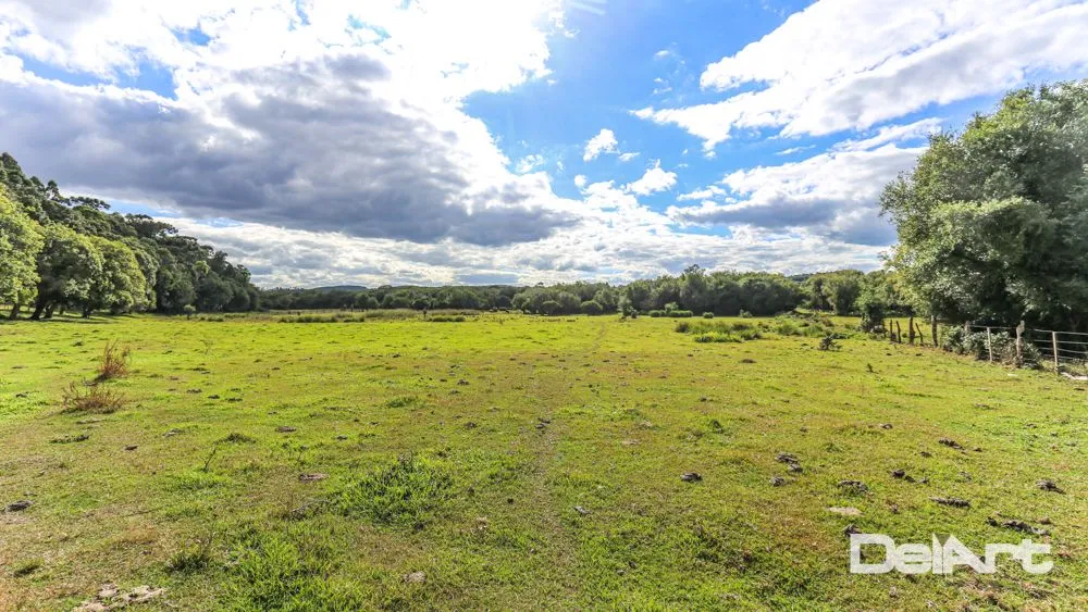 Fazenda, 11 hectares - Foto 6
