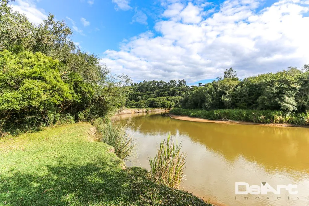 Fazenda, 11 hectares - Foto 13