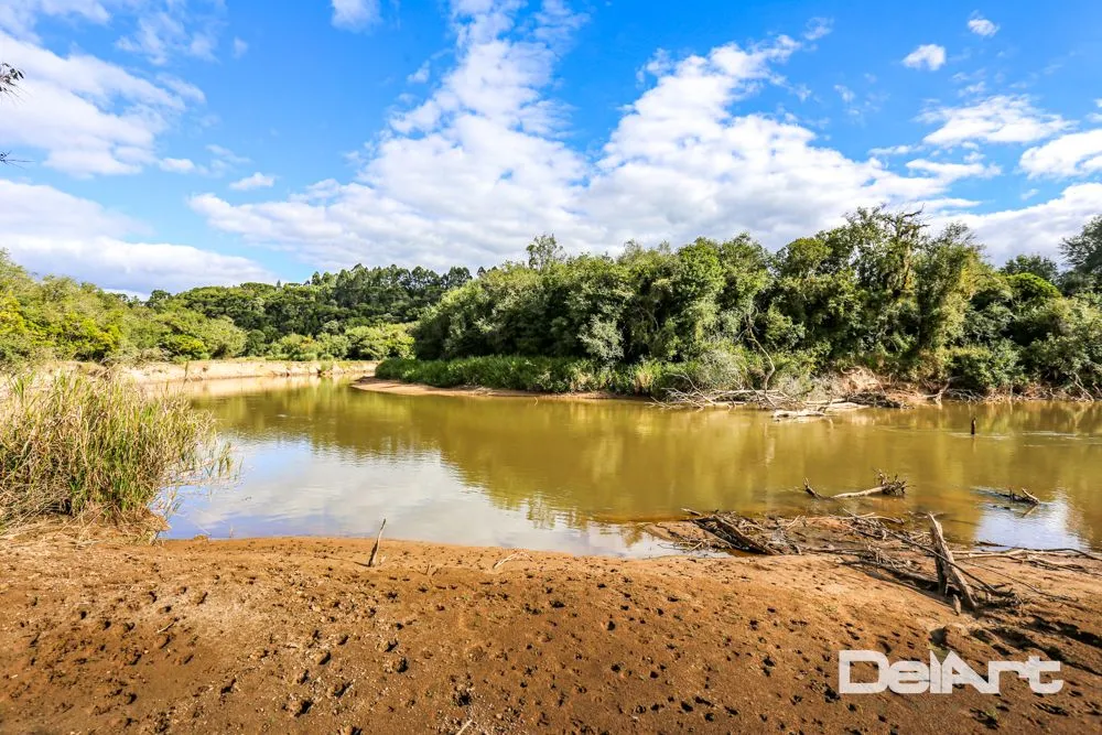 Fazenda, 11 hectares - Foto 15