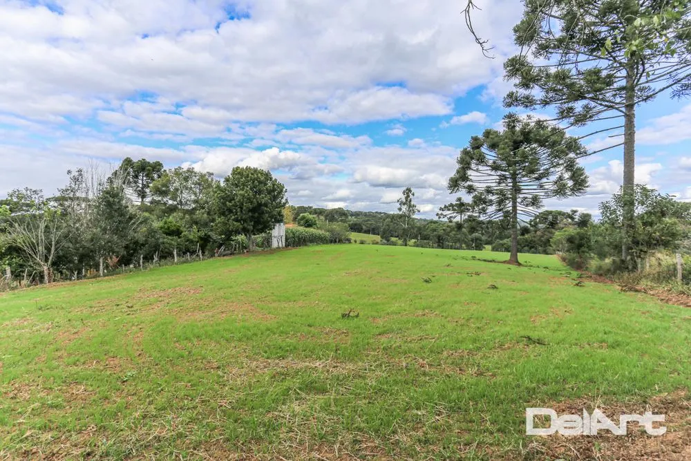 Fazenda, 11 hectares - Foto 10