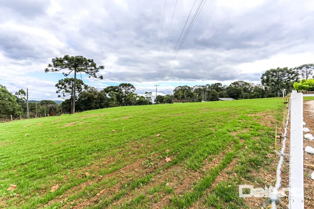 Fazenda, 11 hectares - Foto 11