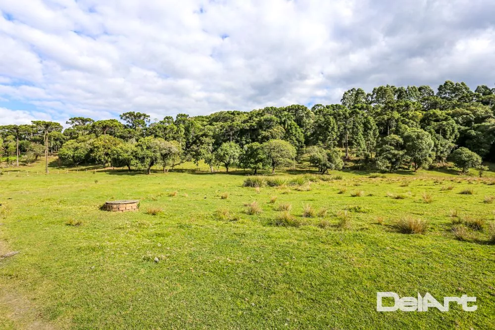 Fazenda, 11 hectares - Foto 2