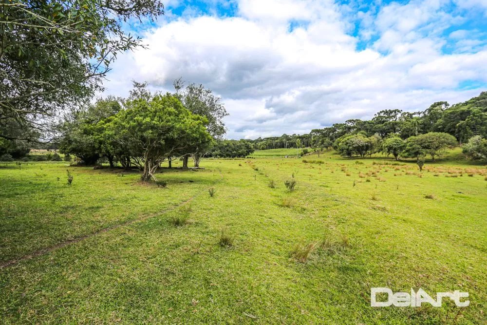 Fazenda, 11 hectares - Foto 3