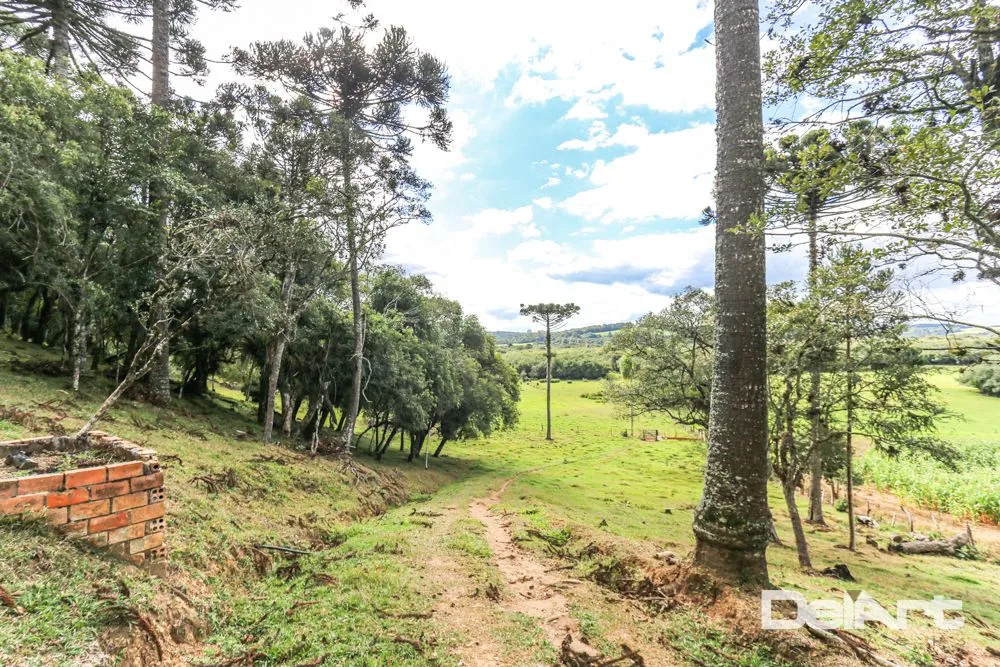 Fazenda, 11 hectares - Foto 16