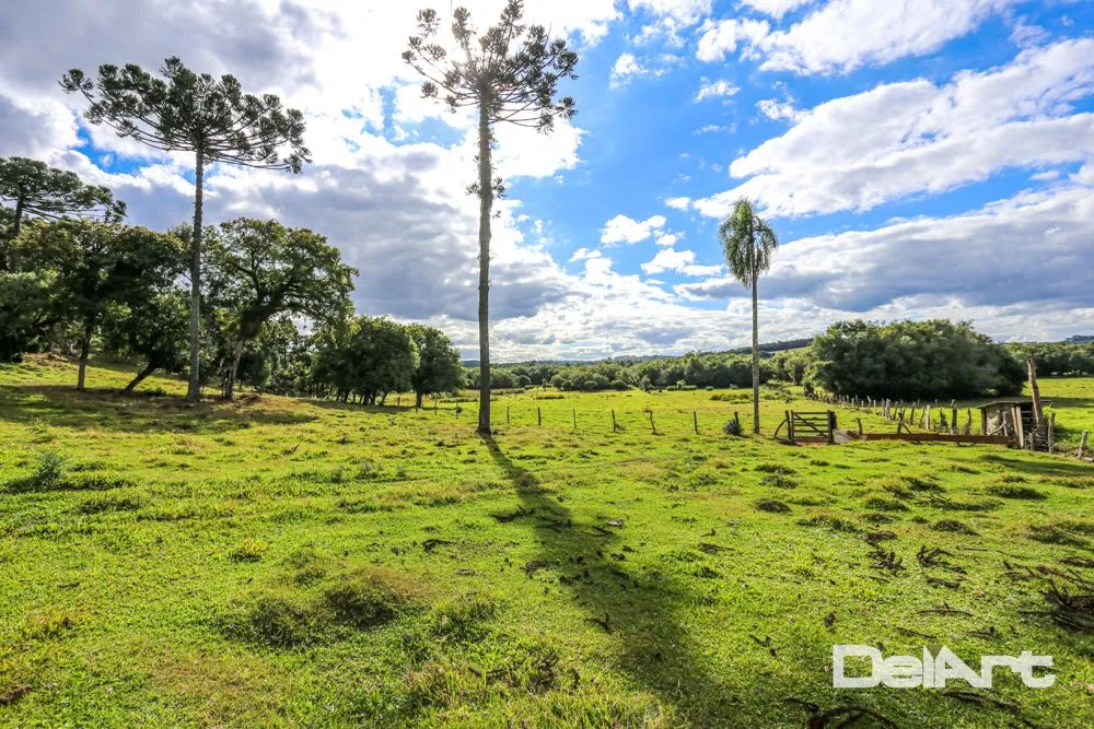 Fazenda, 11 hectares - Foto 14