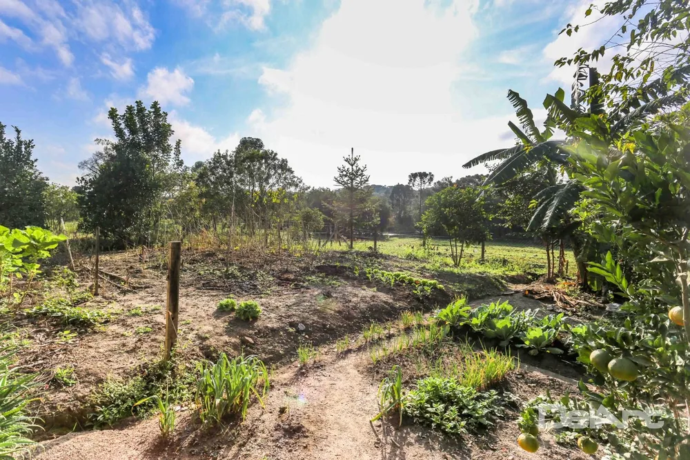 Sítio, 3 quartos, 1500 m² - Foto 10