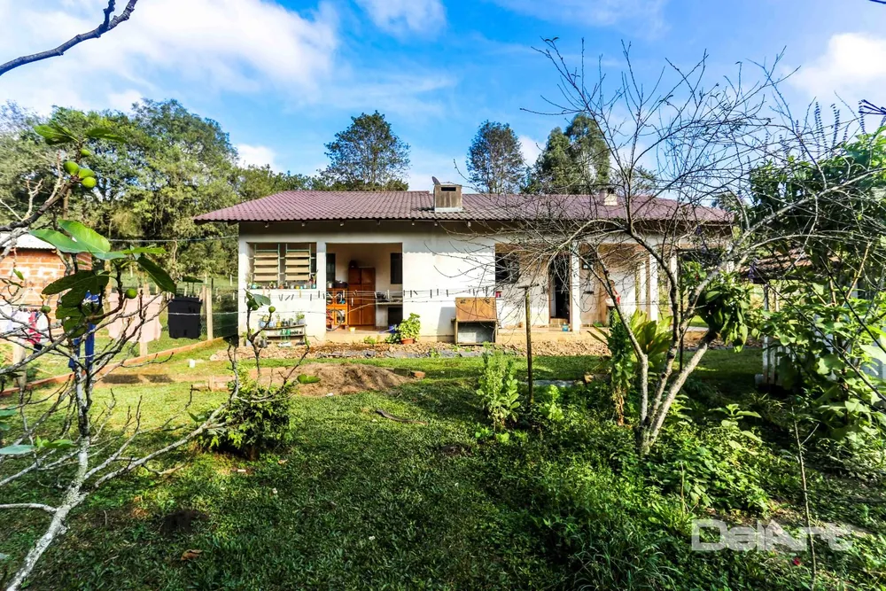Sítio, 3 quartos, 1500 m² - Foto 5
