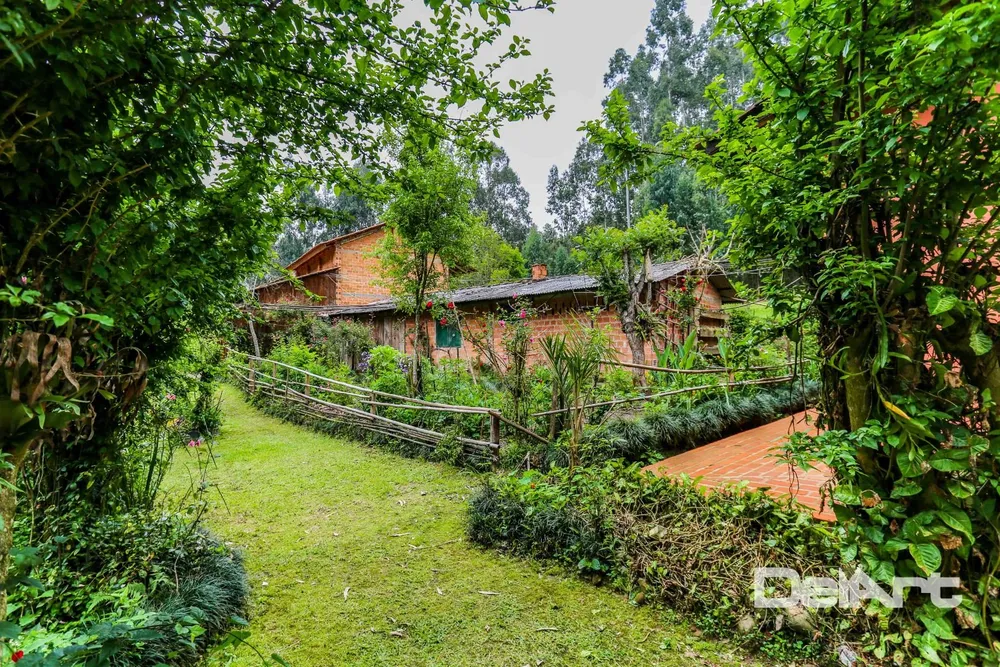 Sítio, 7 quartos, 8 hectares - Foto 3