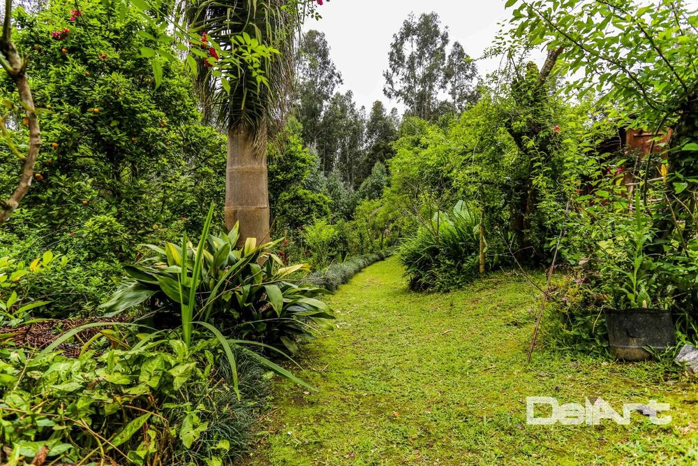 Sítio, 7 quartos, 8 hectares - Foto 4