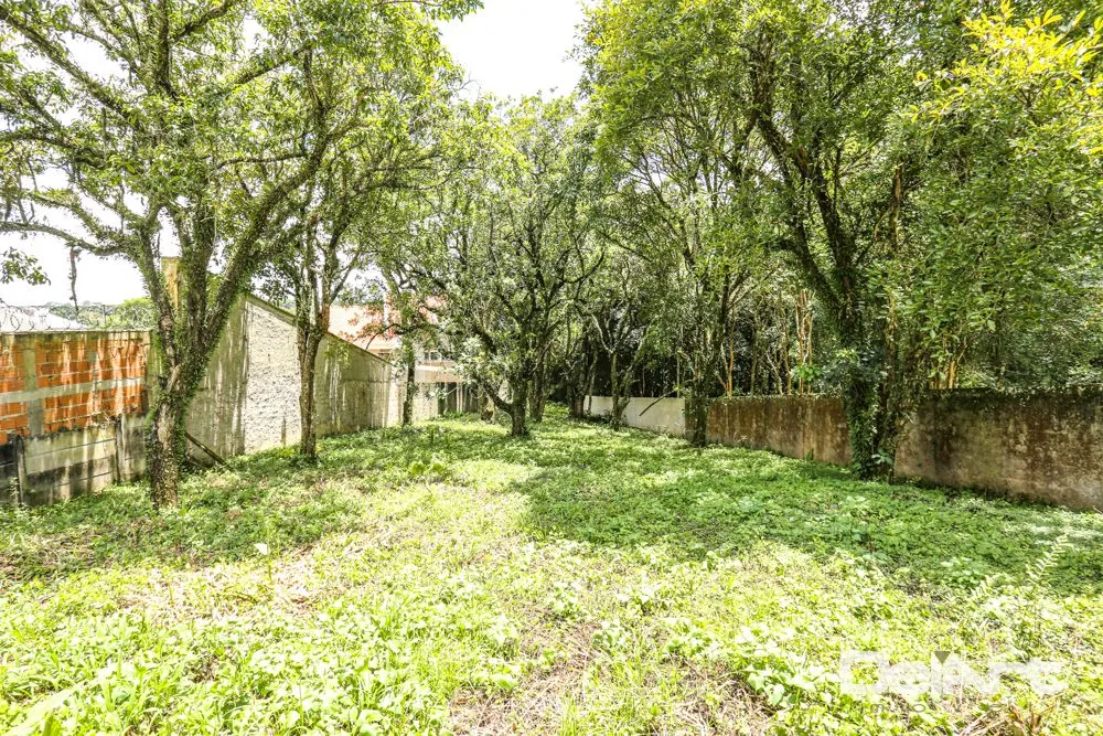 Terreno, 2023 m² - Foto 23