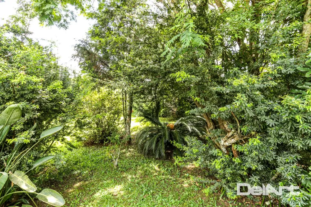 Terreno, 2023 m² - Foto 6