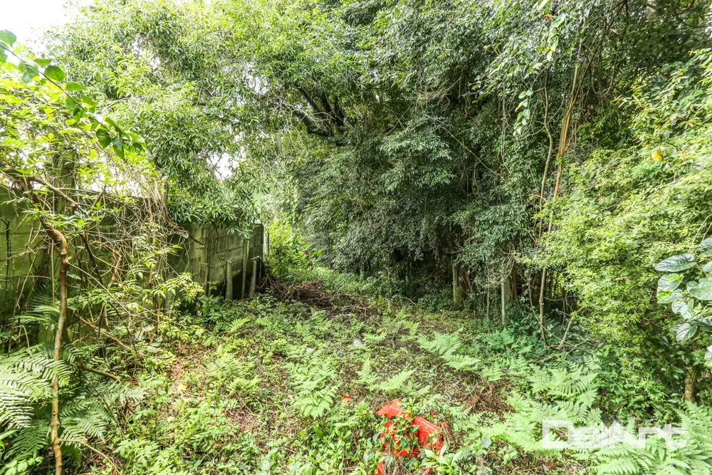 Terreno, 2023 m² - Foto 17
