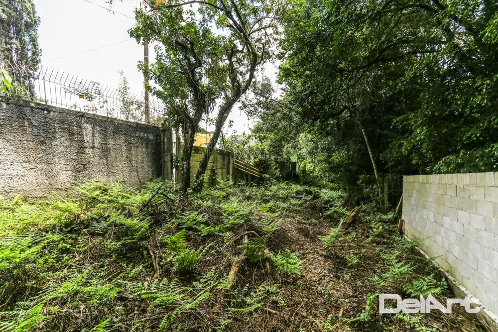 Terreno, 2023 m² - Foto 16