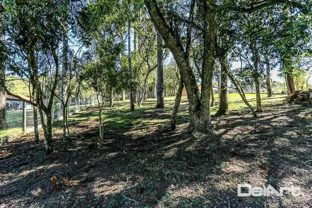 Chácara, 3 quartos, 3731 m² - Foto 6