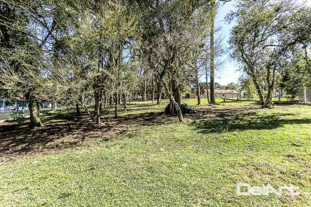 Chácara, 3 quartos, 3731 m² - Foto 12