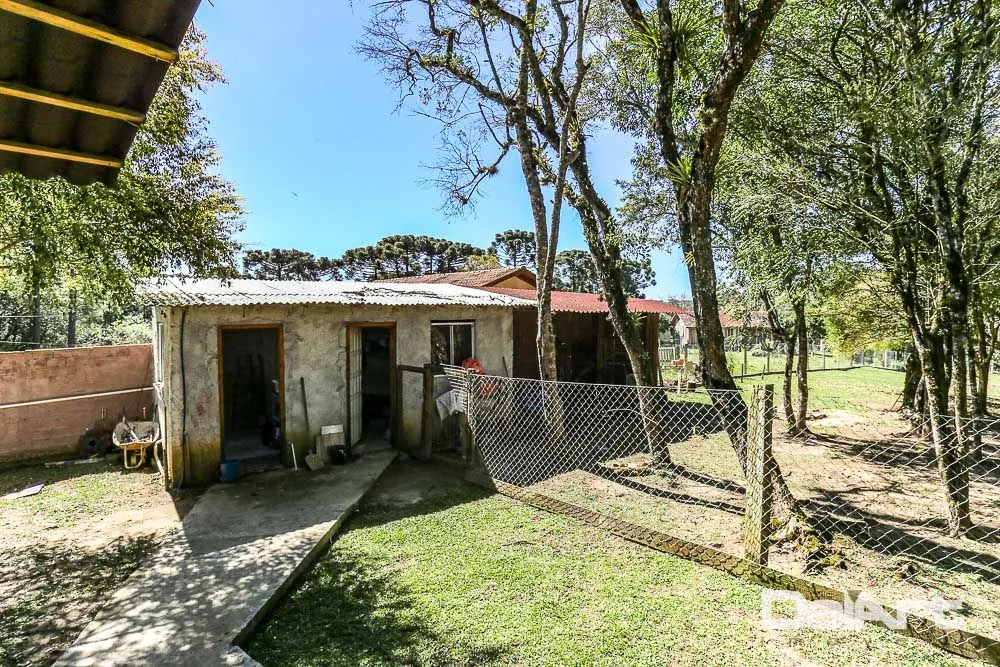 Chácara, 3 quartos, 3731 m² - Foto 13