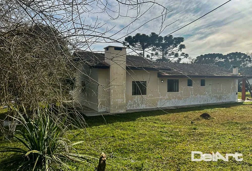 Terreno, 2 hectares - Foto 6