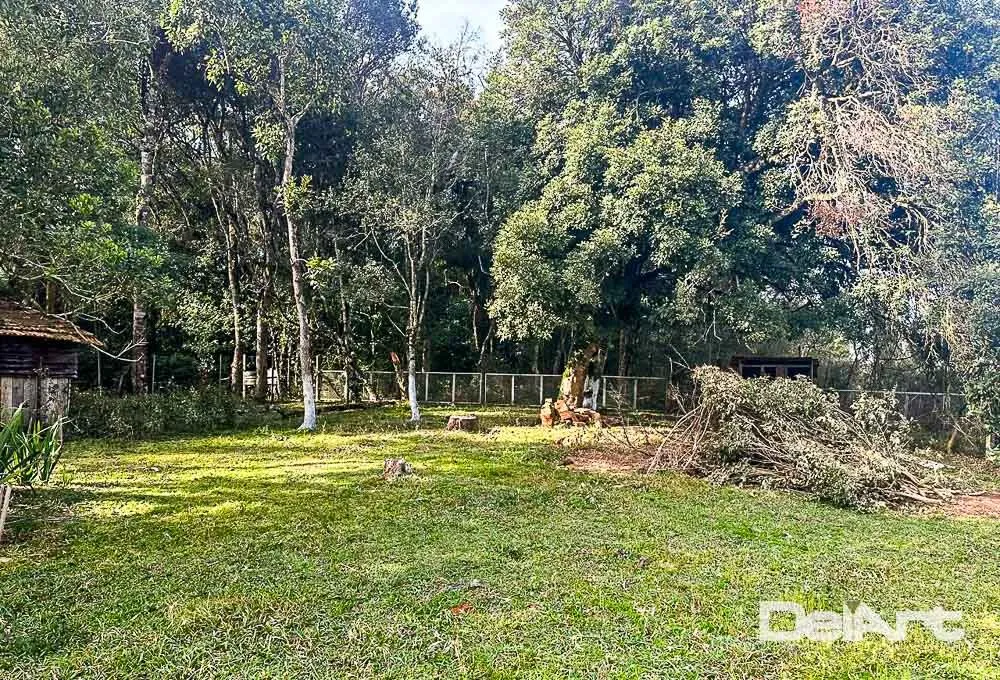 Terreno, 2 hectares - Foto 5