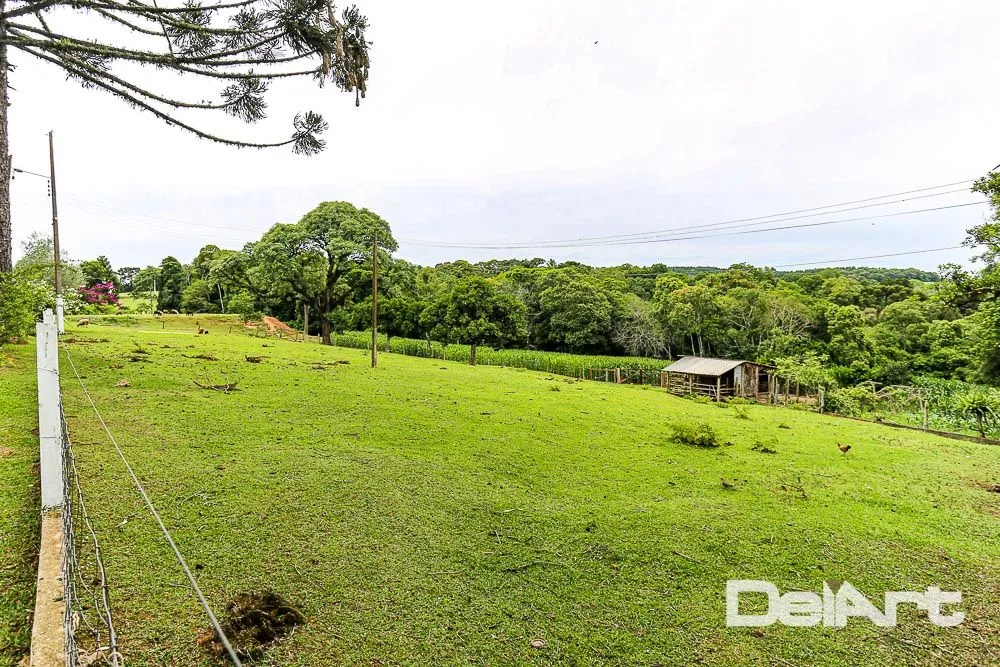 Sítio, 6 quartos, 23 hectares - Foto 4