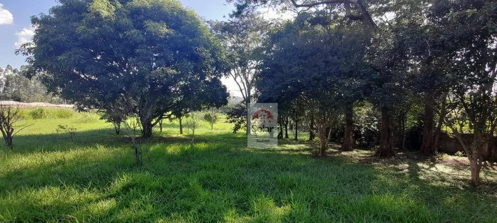 Chácara, 3 quartos, 1 hectares - Foto 3
