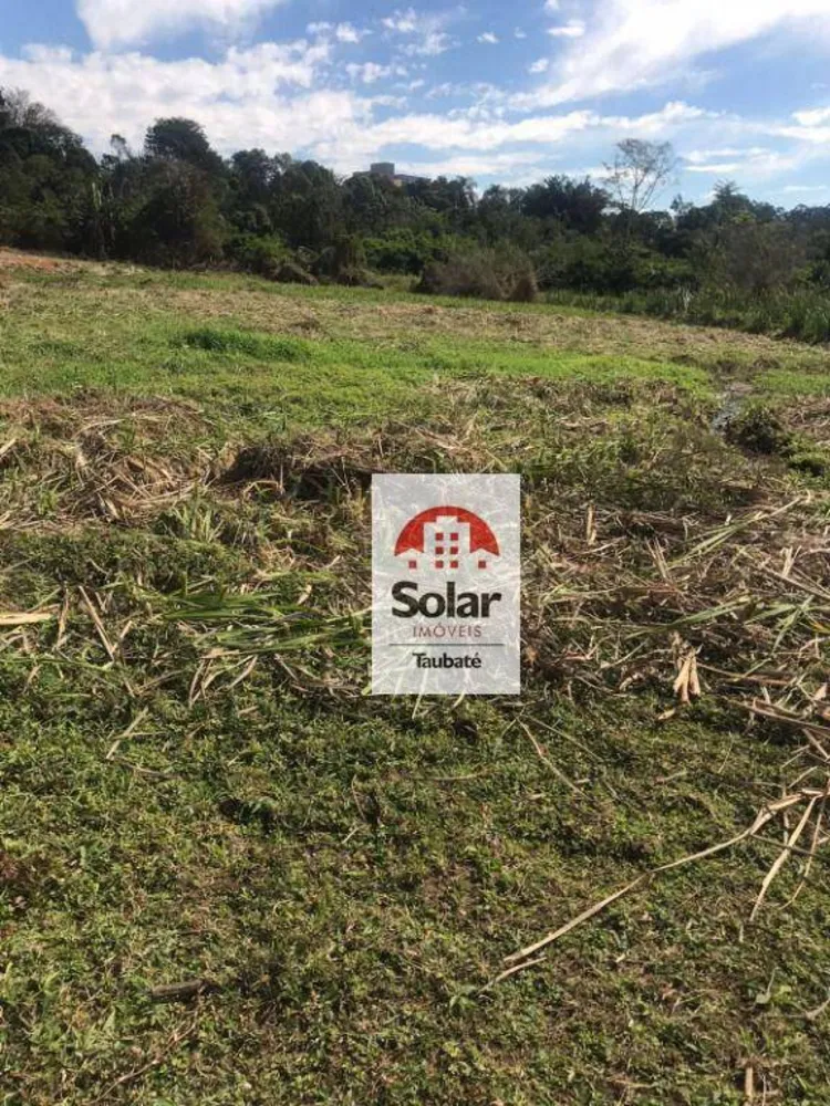 Terreno, 3 hectares - Foto 3