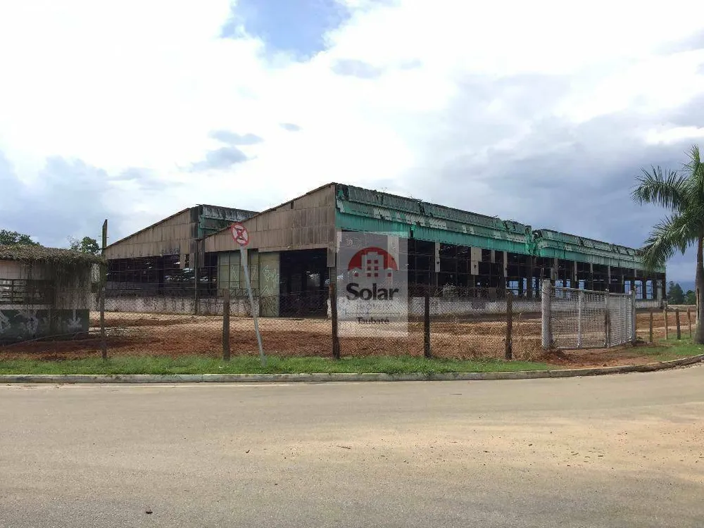 Depósito-Galpão, 6000 m² - Foto 4