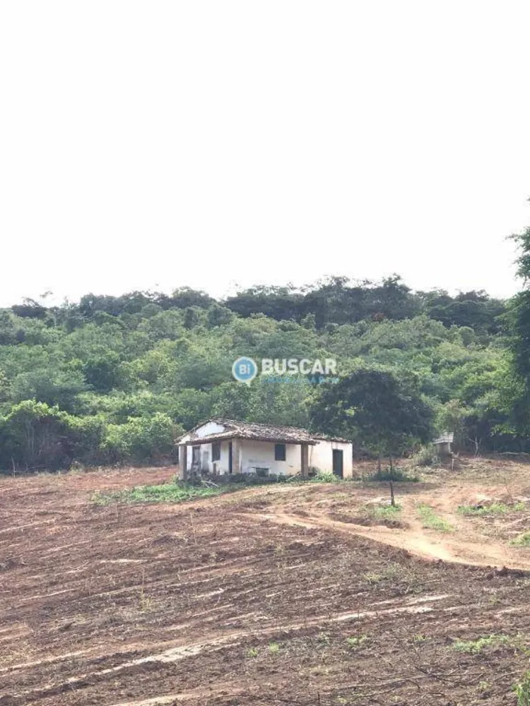 Terreno, 115 hectares - Foto 2
