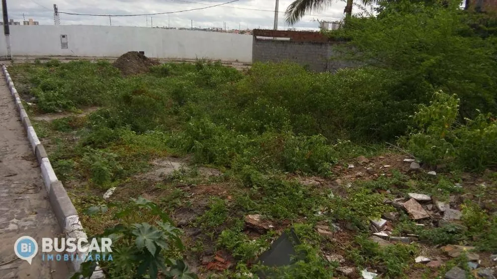 Terreno, 174 m² - Foto 3