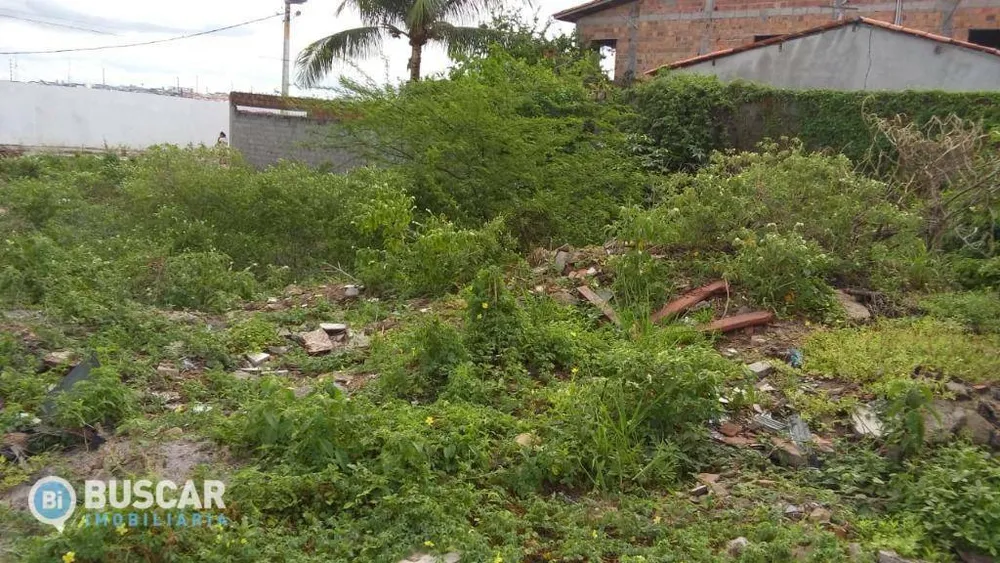 Terreno, 174 m² - Foto 4