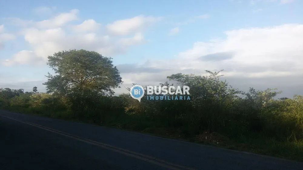 Terreno, 8 hectares - Foto 4