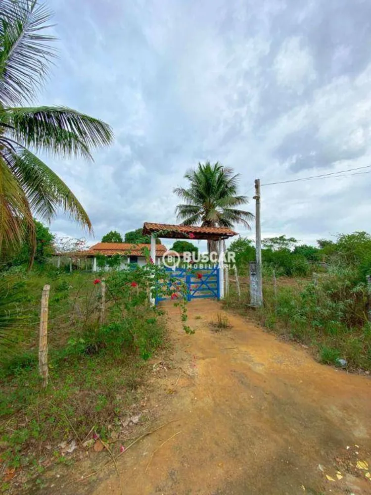 Chácara, 3 quartos, 10000 m² - Foto 3