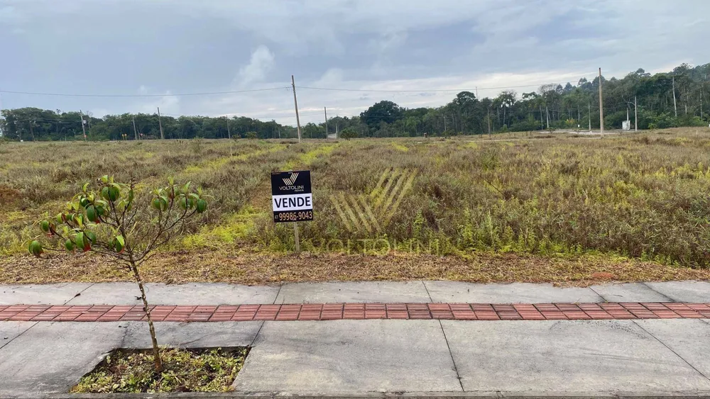 Terreno, 300 m² - Foto 5