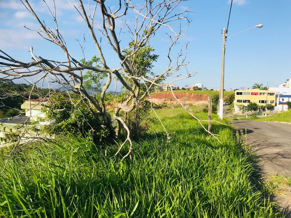 Terreno - Foto 5
