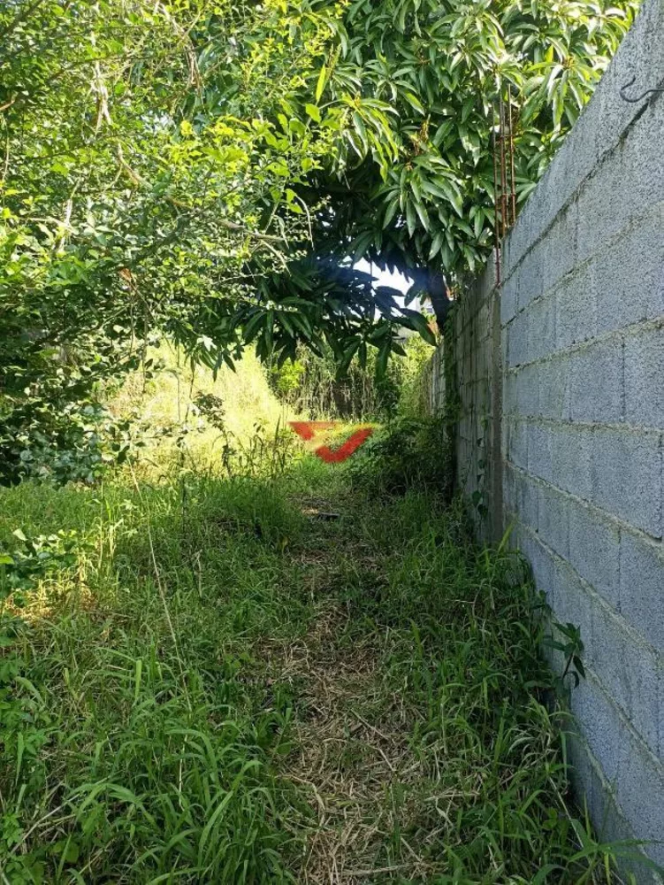 Terreno, 200 m² - Foto 1