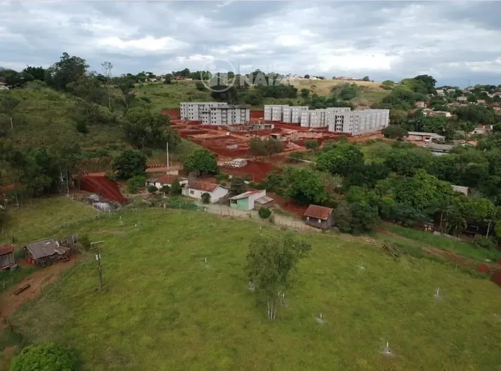 Chácara, 2 quartos, 4488 m² - Foto 4