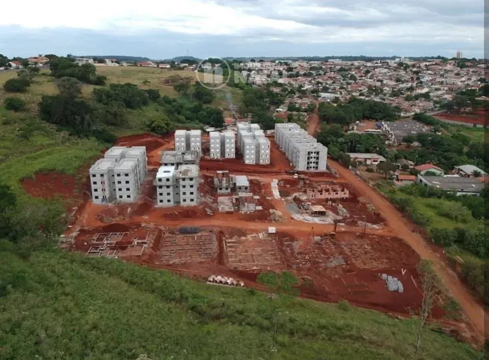 Chácara, 2 quartos, 4488 m² - Foto 2