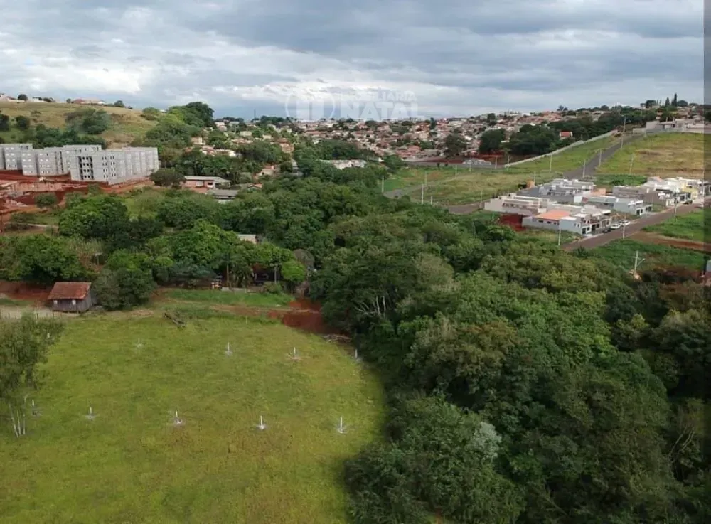 Chácara, 2 quartos, 4488 m² - Foto 3