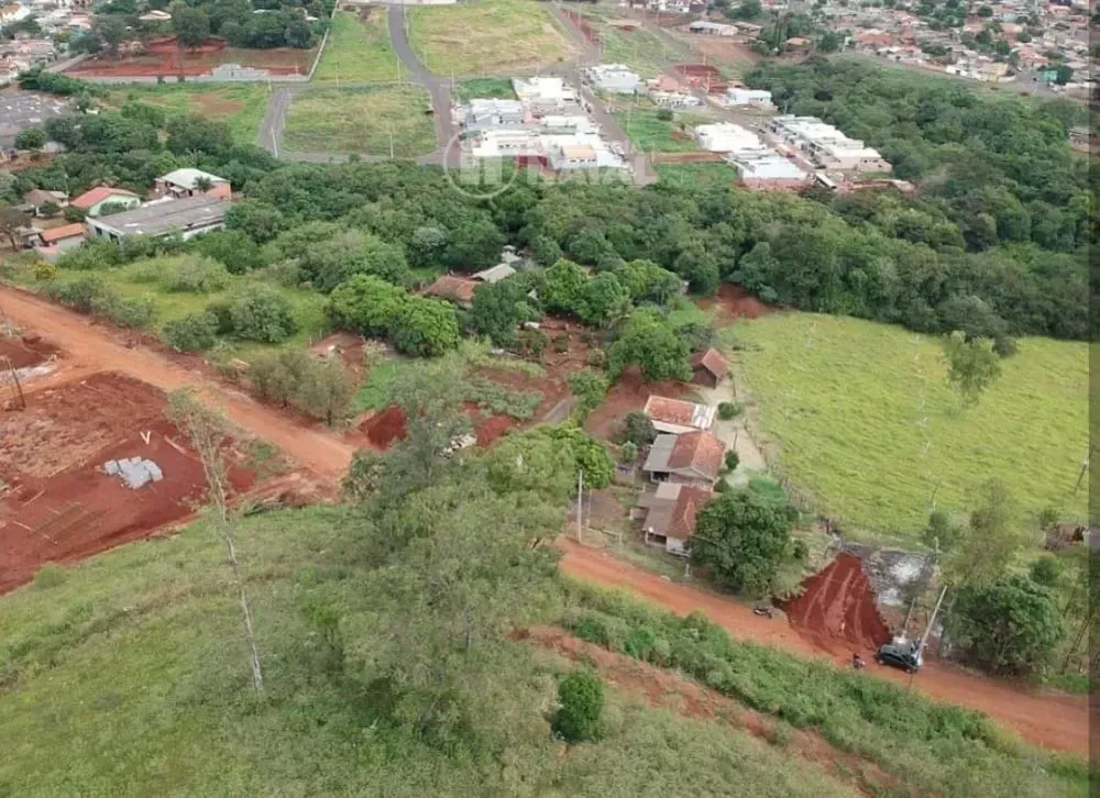 Chácara, 2 quartos, 4488 m² - Foto 3